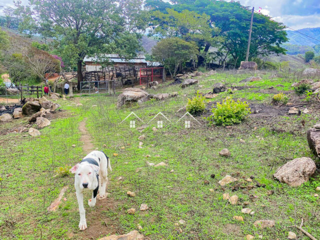 Land Near San Sebastián Del Oeste And La Estancia, Jalisco