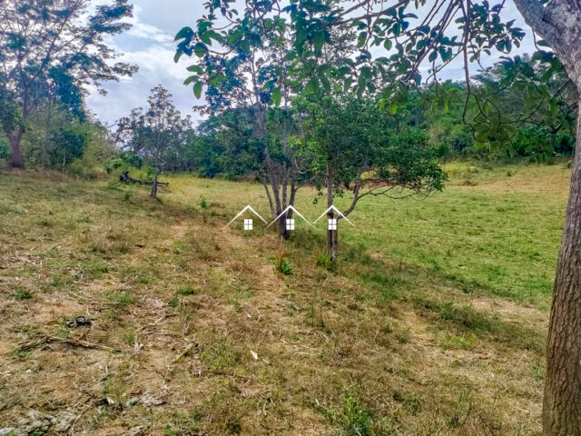 Los Chinos Ranch in el Tuito