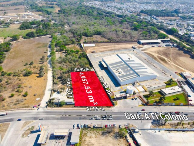 Great Investment Opportunity in Mezcales!