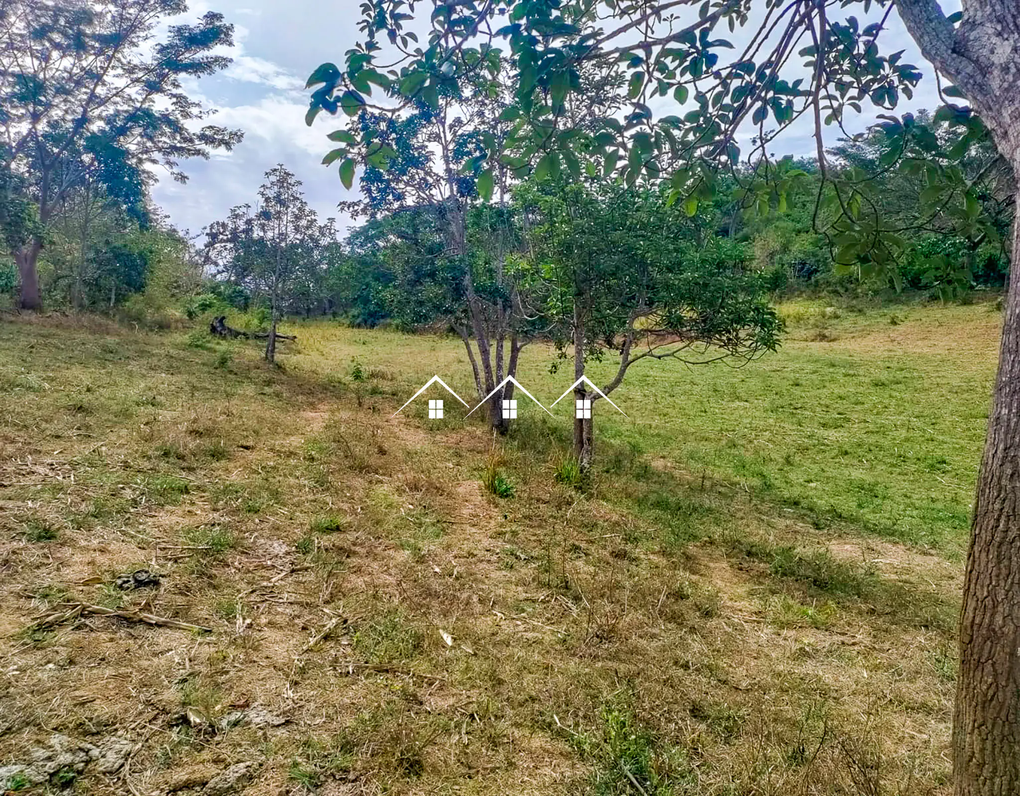 rancho los chinos en el tuito